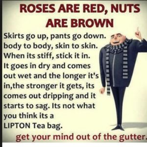 Meet your Posher, Bob